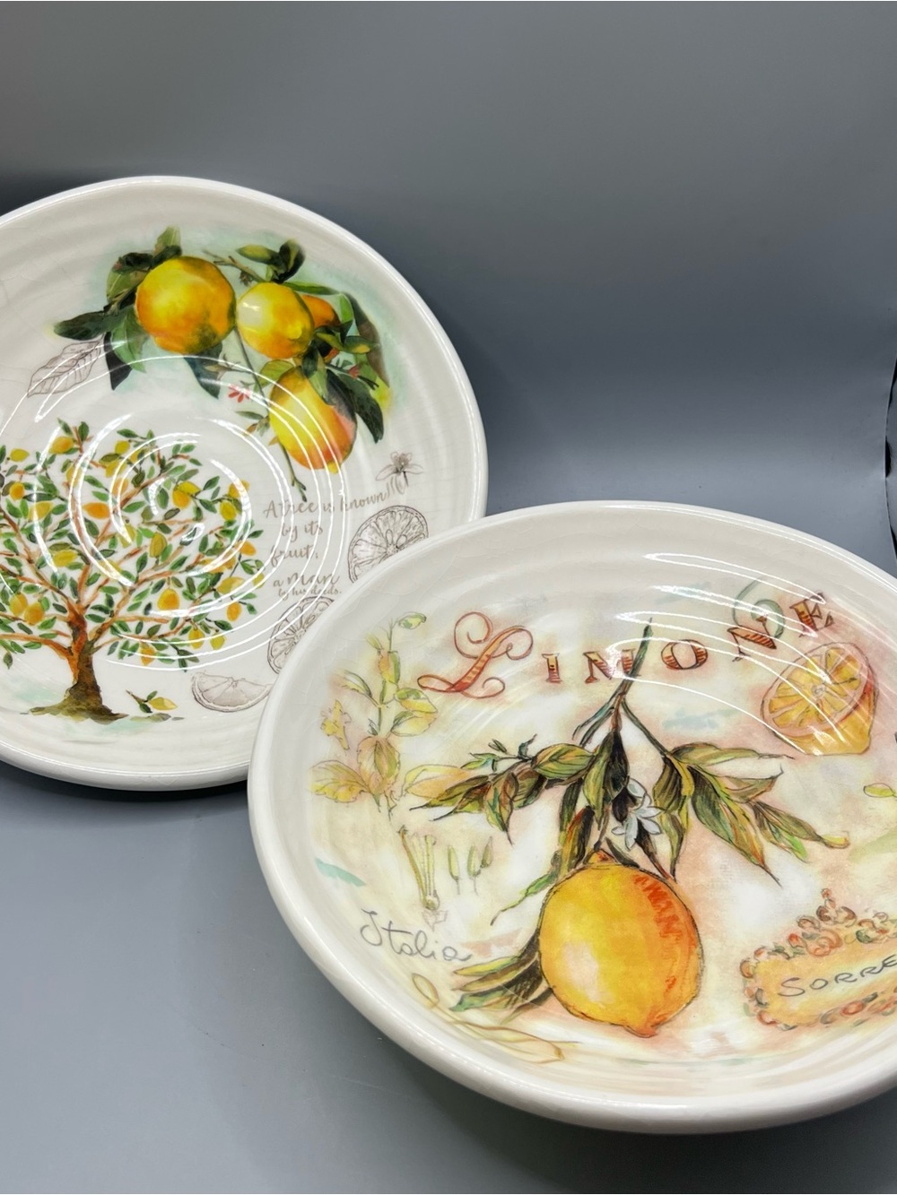 Ceramica Cuore 9" Round Pasta Bowl Made in ITALY Tree/Lemons Lot Of 2 (Crazing)